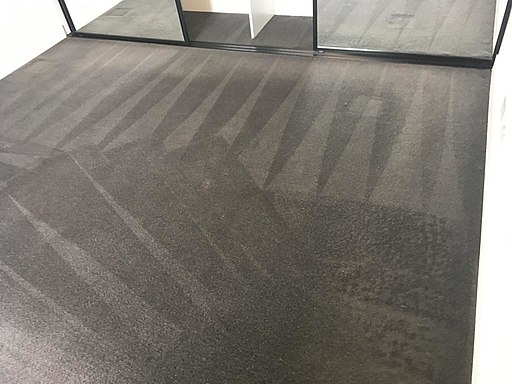 The Pros of Steam Cleaning Your Carpet
