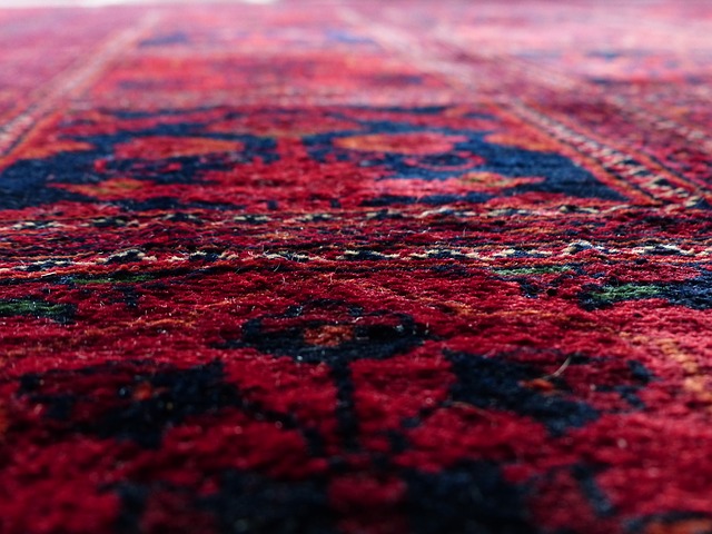 How to Remove a Stain from a Wool Carpet